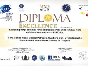 Diploma of Excellence at the EUROINVENT 2018 Salon