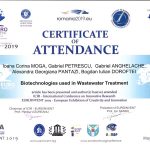 Certificate of Attendance - ICIR 2019